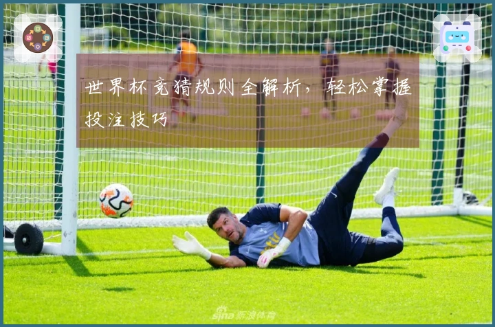 世界杯竞猜规则全解析，轻松掌握投注技巧