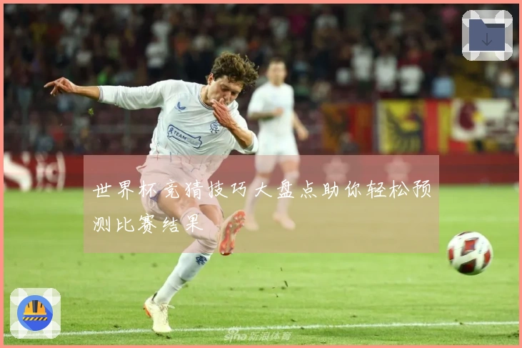 世界杯竞猜技巧大盘点助你轻松预测比赛结果