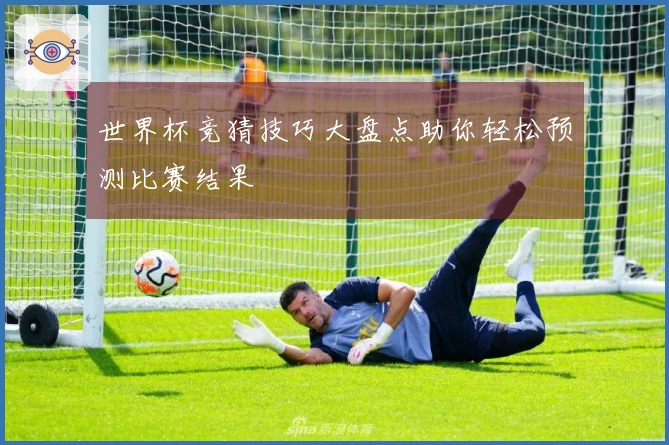 世界杯竞猜技巧大盘点助你轻松预测比赛结果