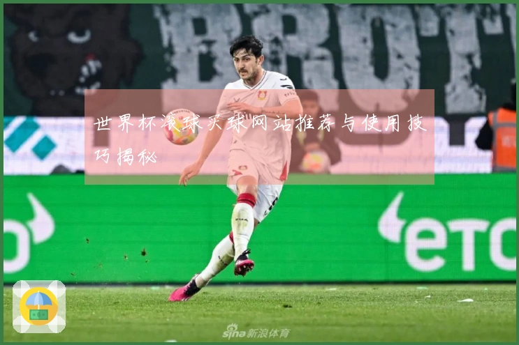 世界杯滚球买球网站推荐与使用技巧揭秘